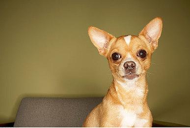 《质量效应》三部曲总监负责的新工作室宣布关闭